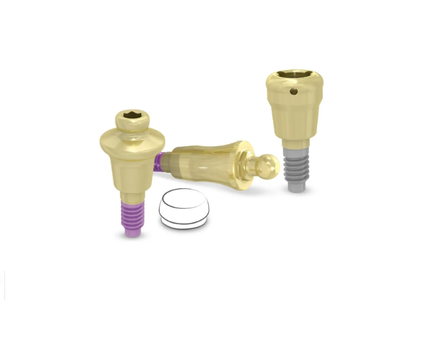 Ортопедические компоненты для съемного протезирования С1