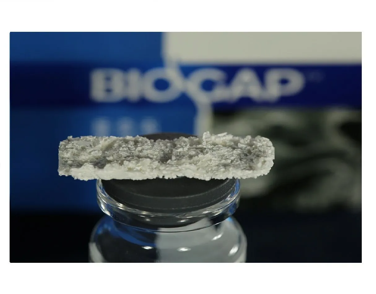 Биоимплант ГАП (BioGap) пластина