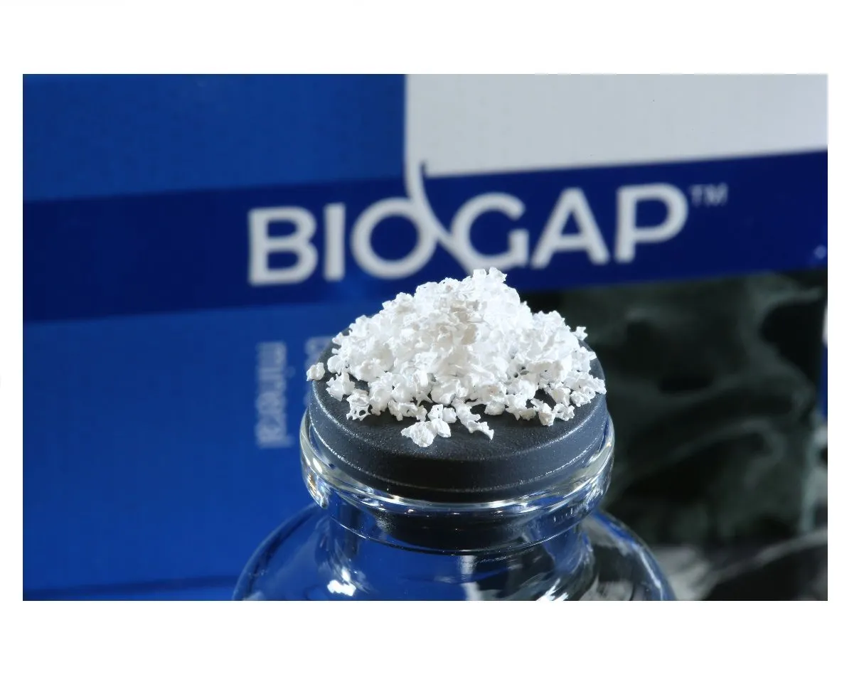 Биоимплант ГАП (BioGap) чипсы