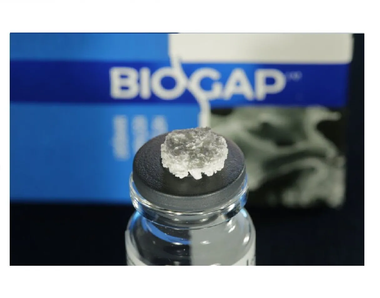 Биоимплант ГАП (BioGap) диск