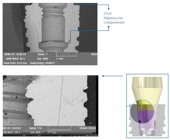 Коническое соединение имплантата mis c1