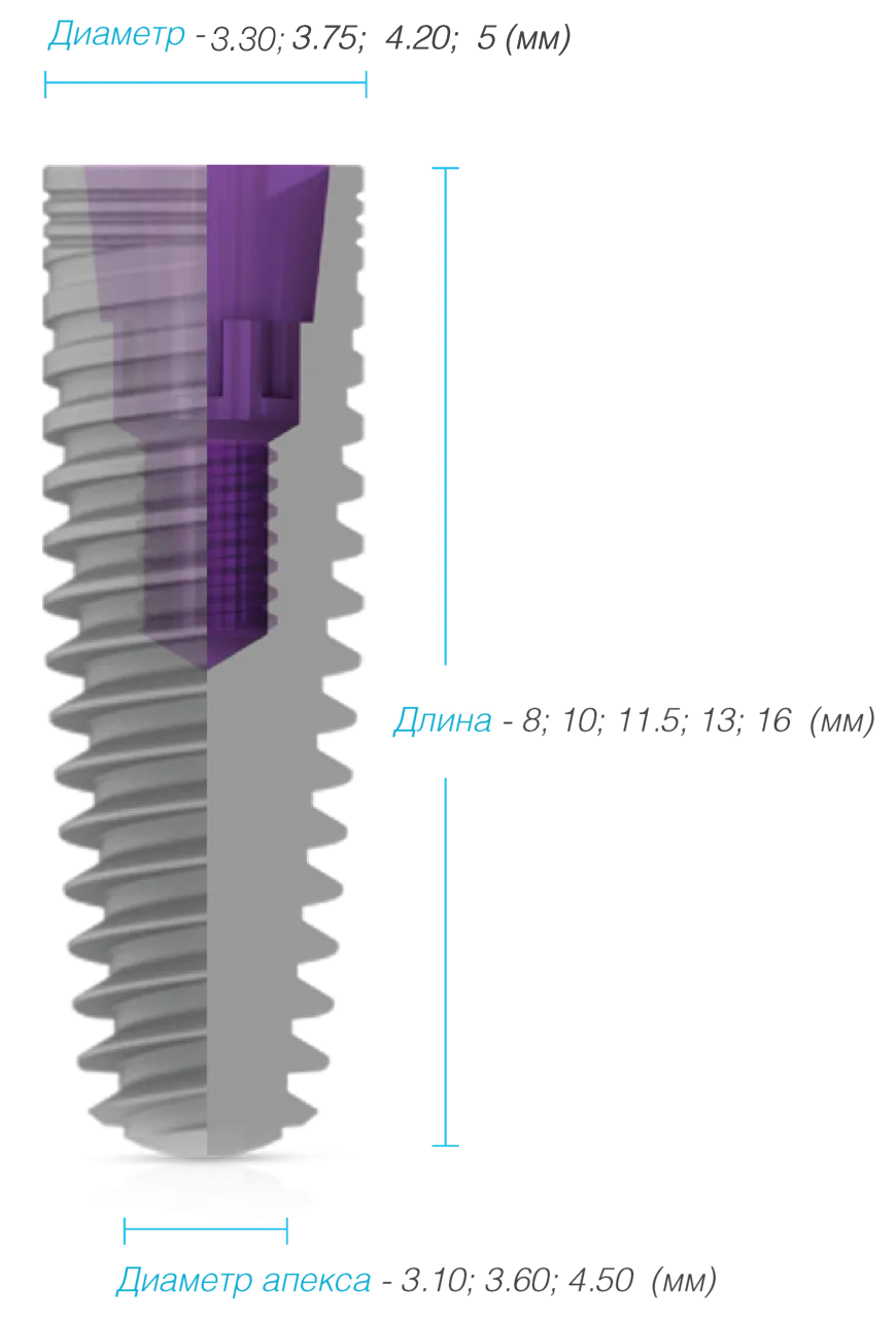 Размеры и диаметры имплантатов mis c1