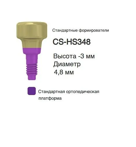 CS-HS348