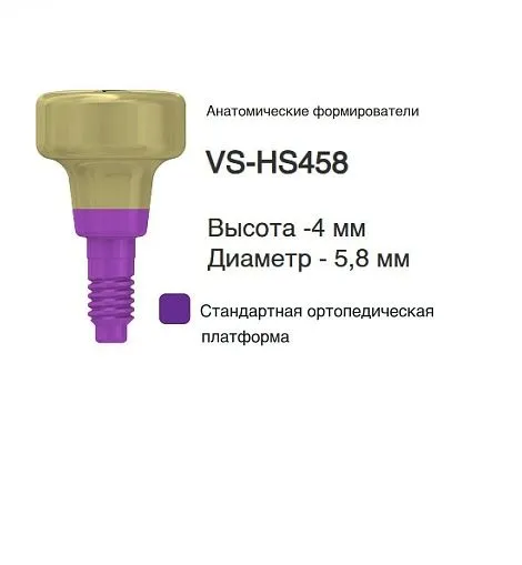 VS-HS458