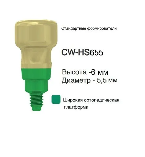 CW-HS655