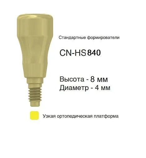 CN-HS840