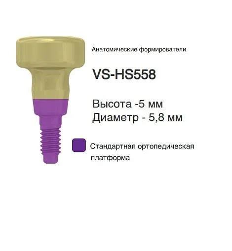 VS-HS558