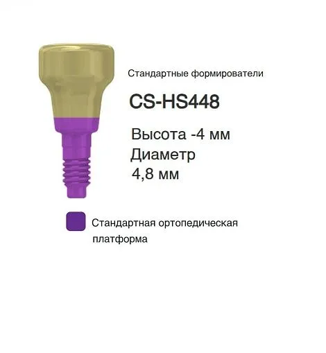 CS-HS448