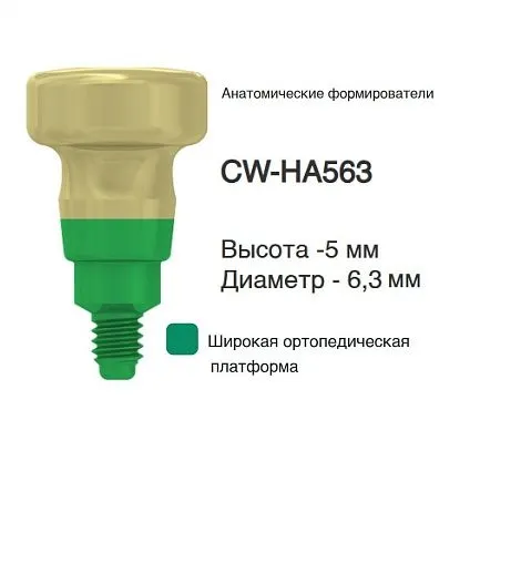 CW-HA563