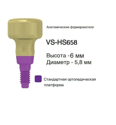 VS-HS658
