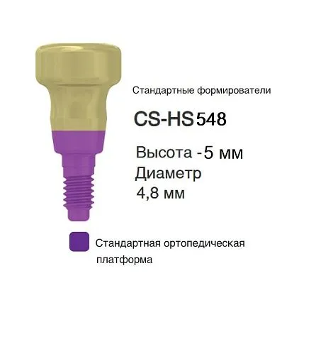 CS-HS548