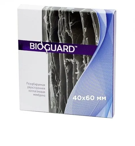 40х60 стандартная