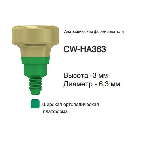 CW-HA363