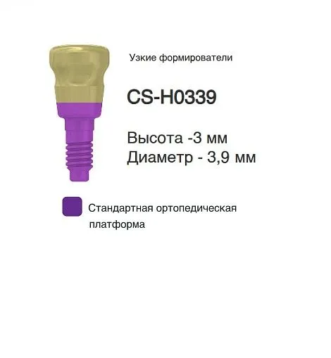 CS-H0339