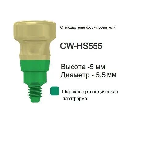 CW-HS555