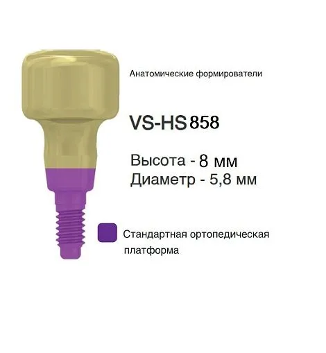 VS-HS858