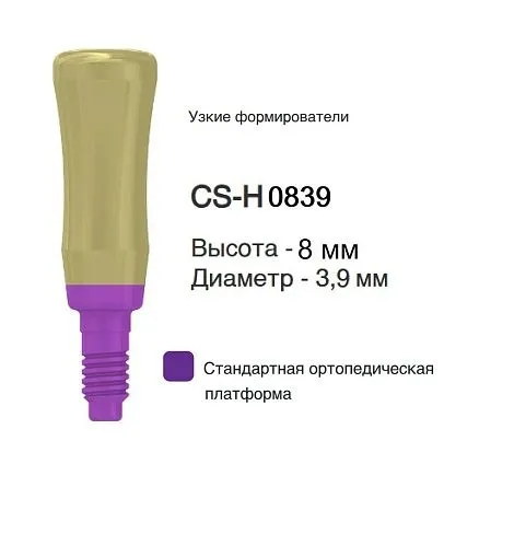 CS-H0839