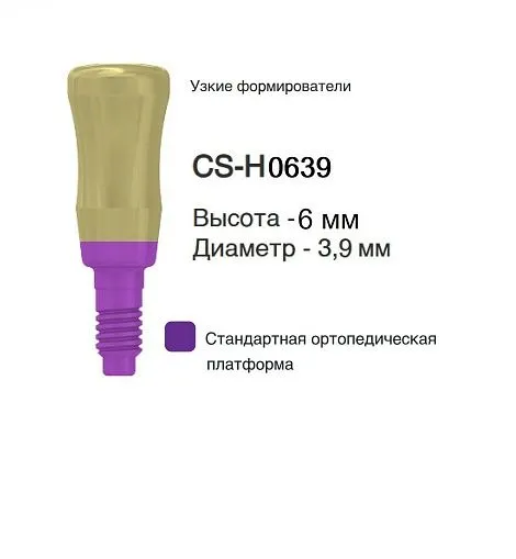 CS-H0639