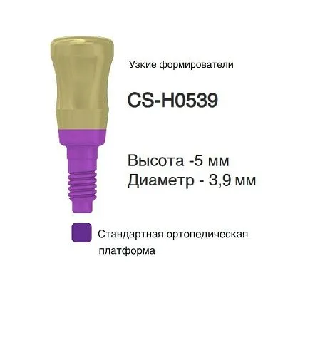 CS-H0539