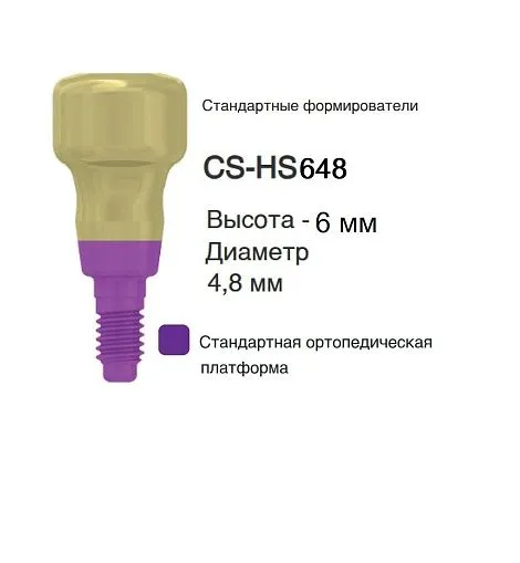 CS-HS648