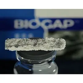 Биоимплант ГАП (BioGap) пластина