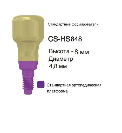 CS-HS848