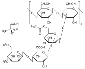 Молекула Ксанта