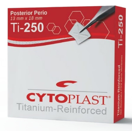 Cytoplast Ti 250