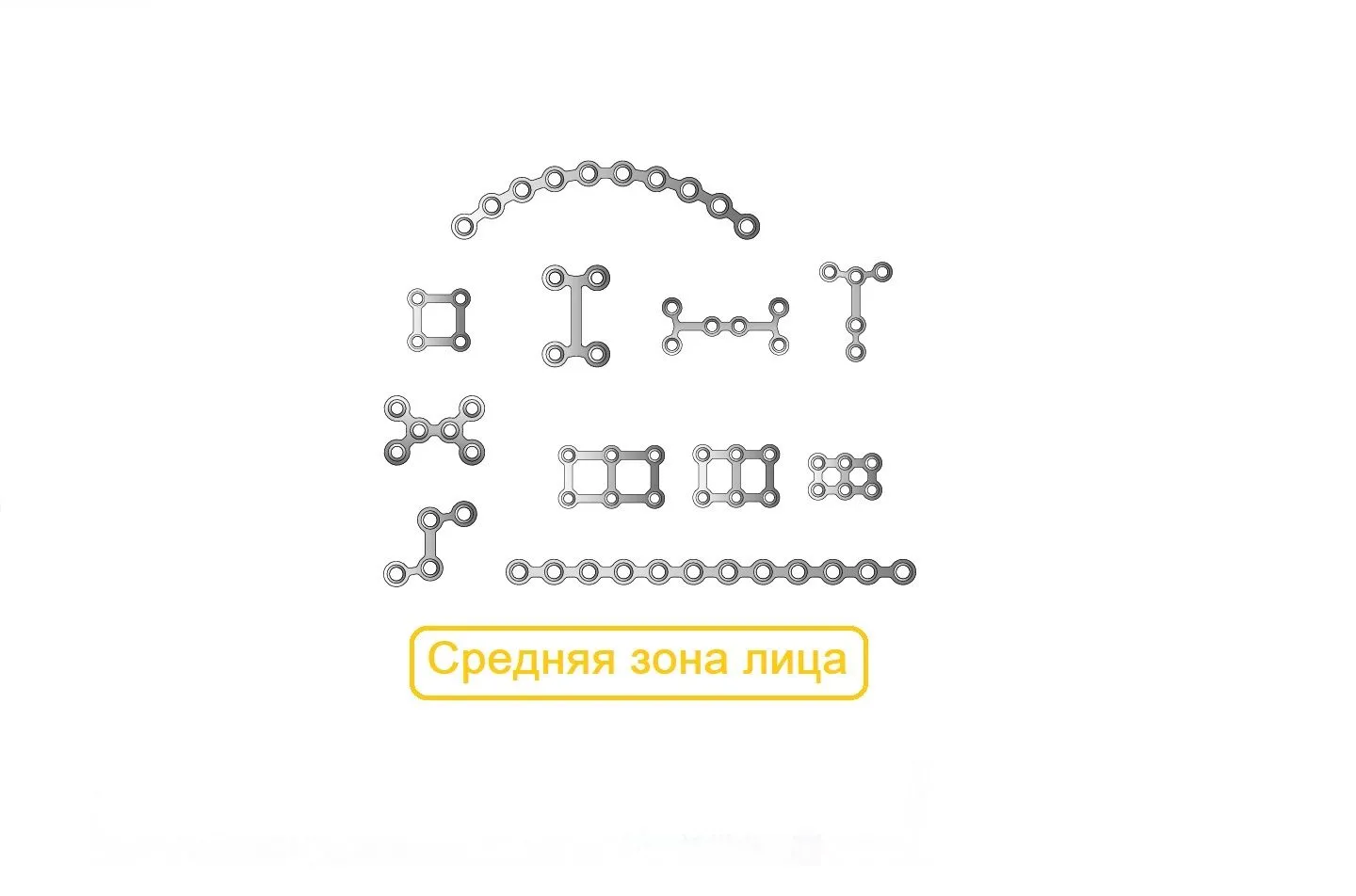 Средняя зона Пластины Миди