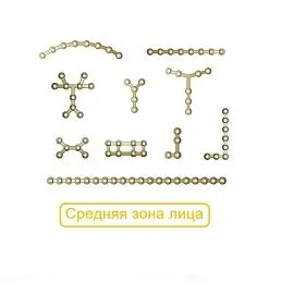 Средняя зона Пластины Микро