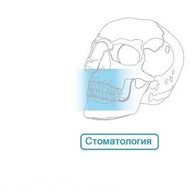 Стоматология Пластины мембраны Микро